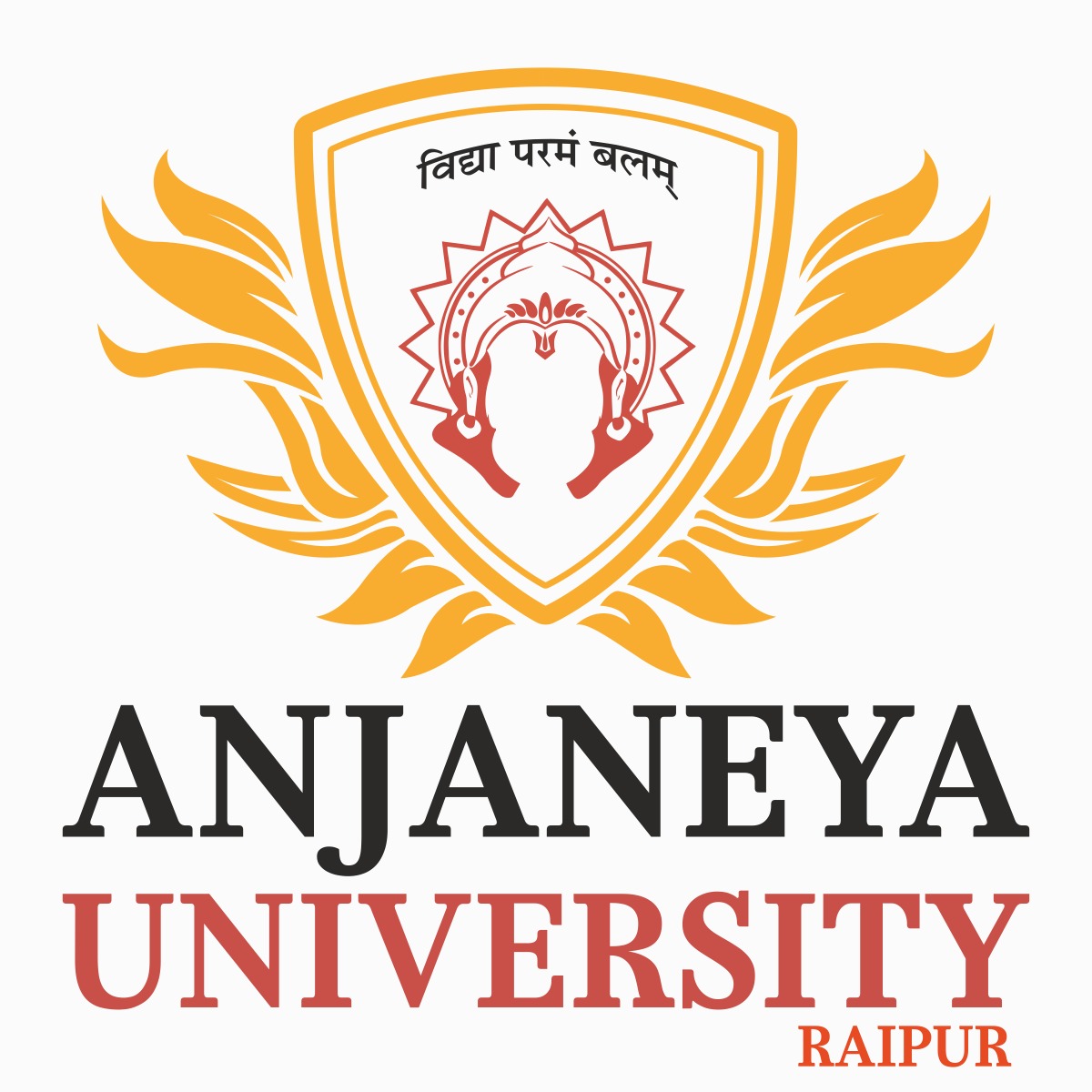 Anjaneya University Raipur